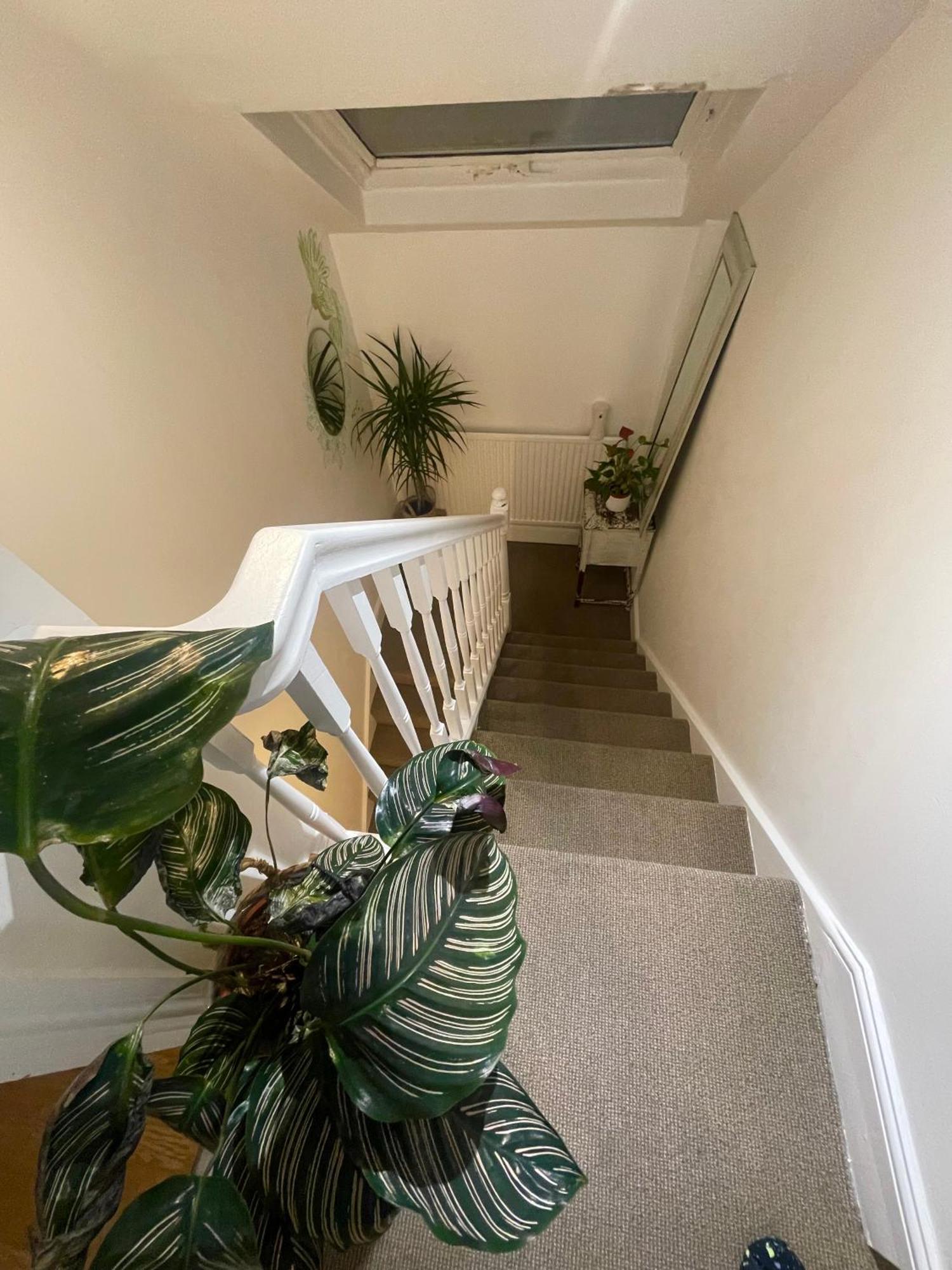 Homestay Cozy Close To Camden Market London